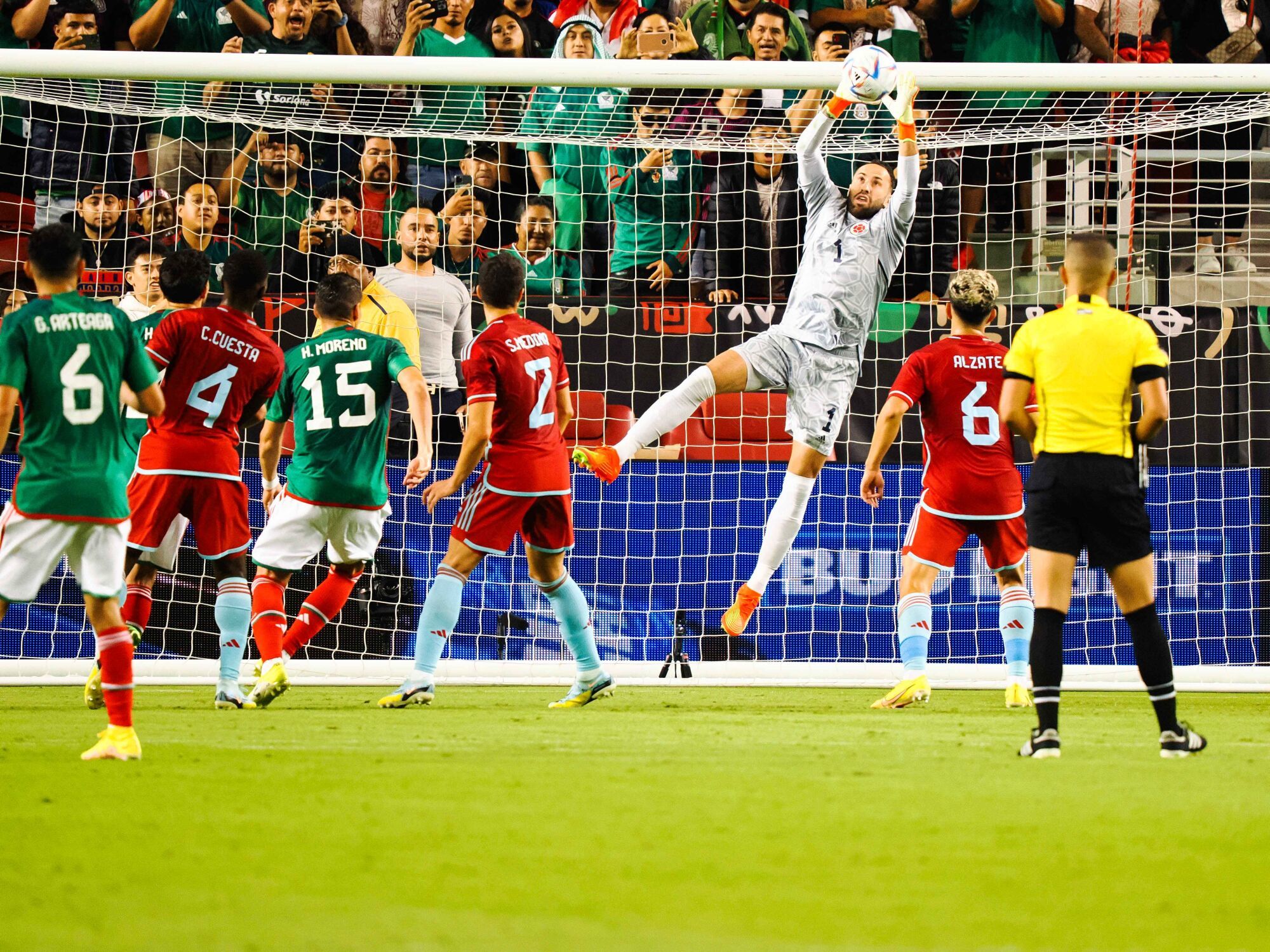 Mejores arqueros de Colombia, Mejores porteros colombianos de la historia, mejores porteros de Colombia, Selección Colombia