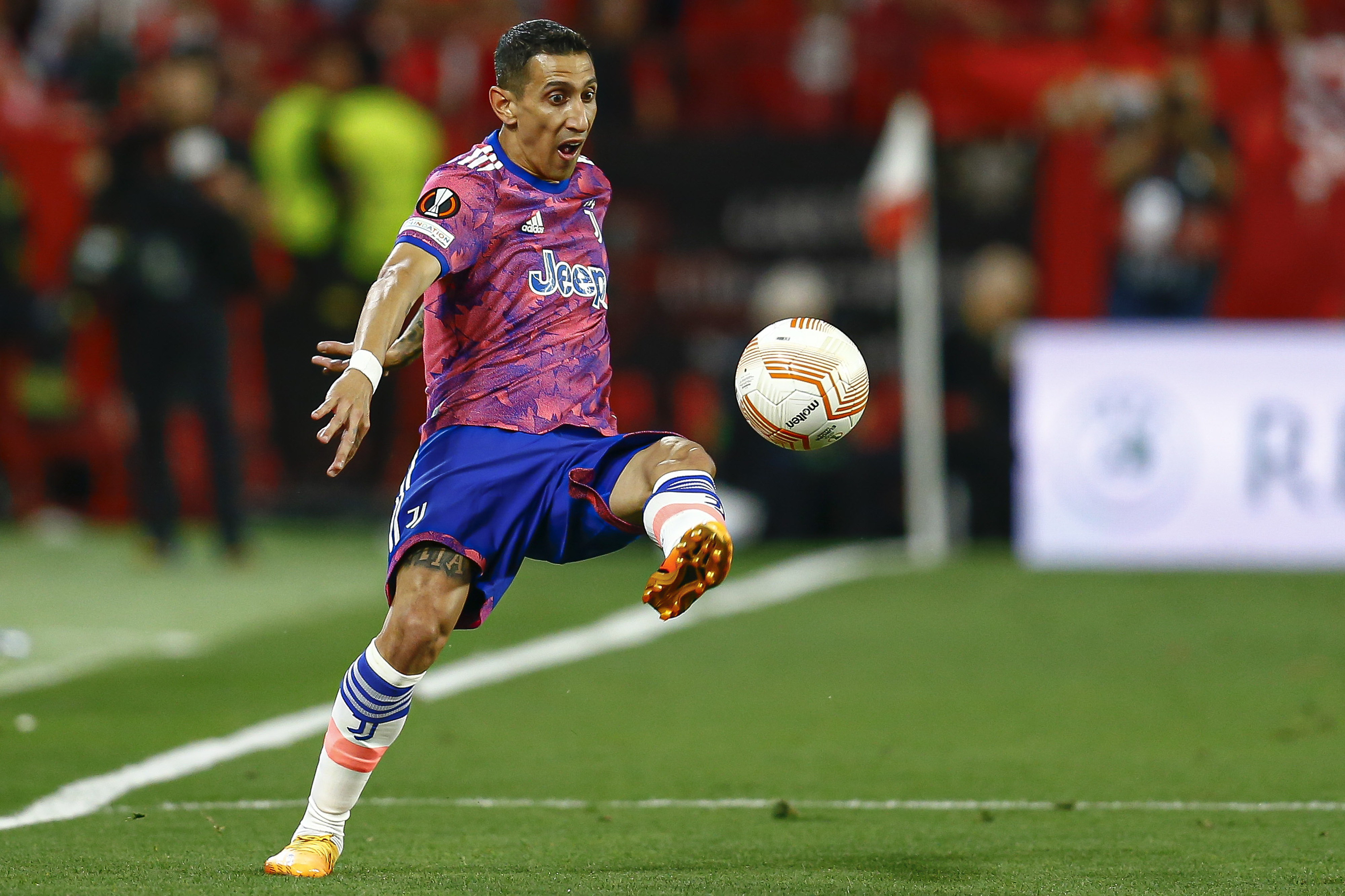 Selecci&oacute;n Argentina