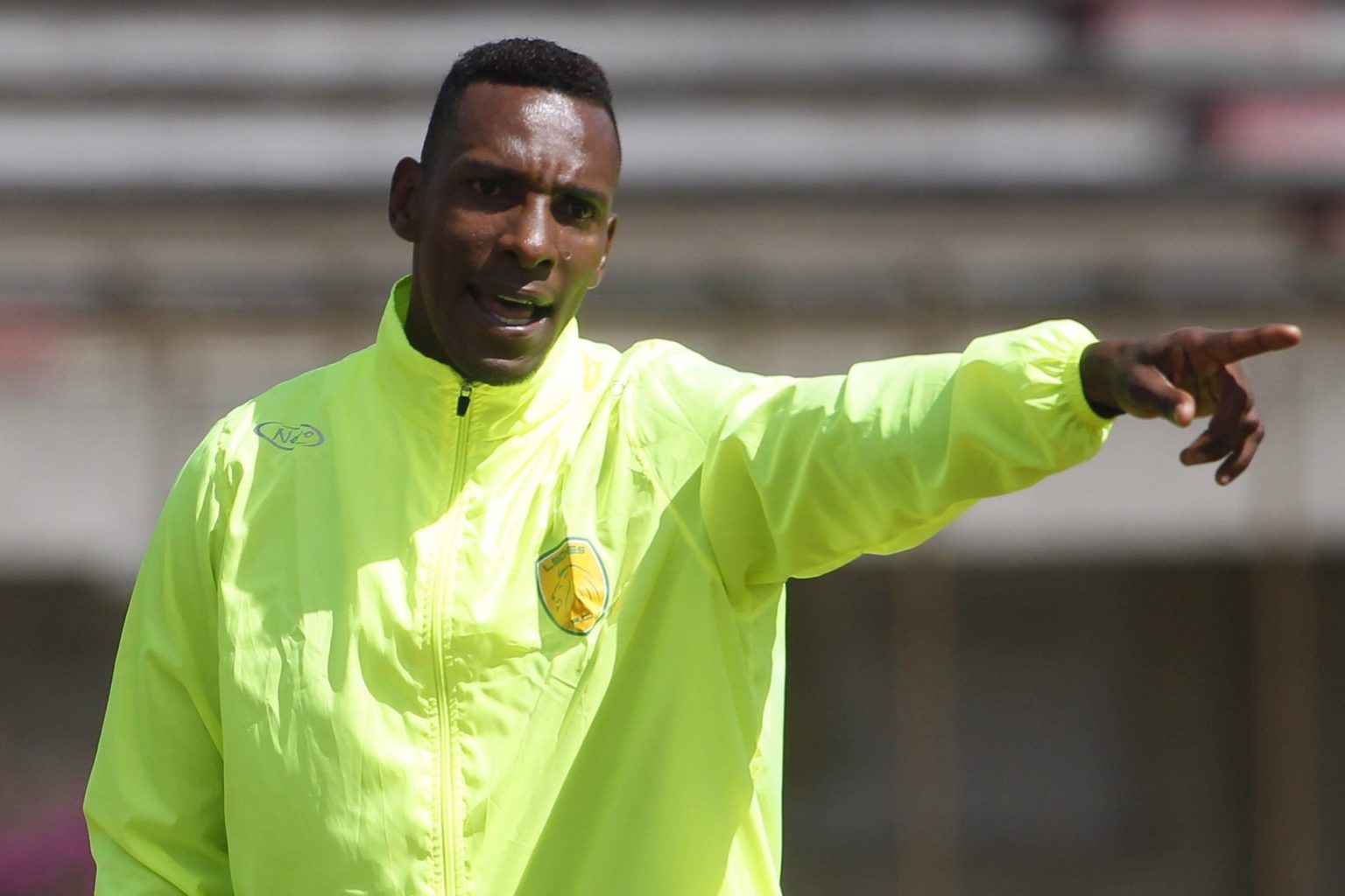 Luis Amaranto Perea, Colombia, Entrenador