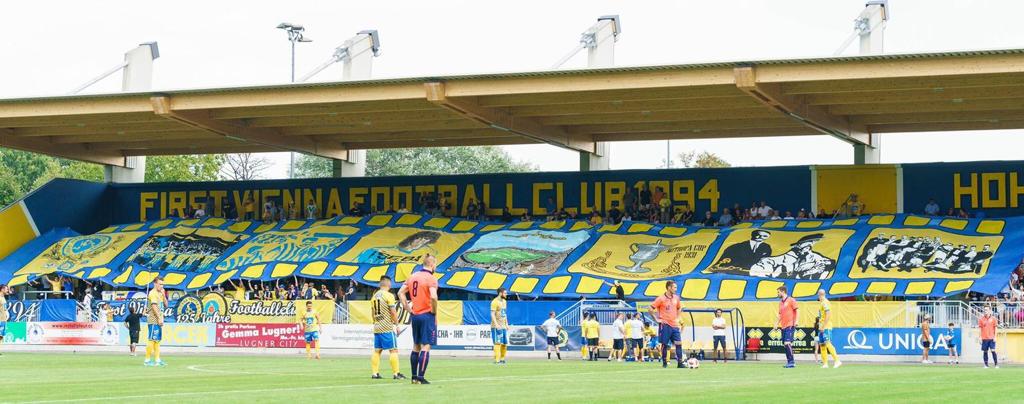 Patricio Paredes Viena