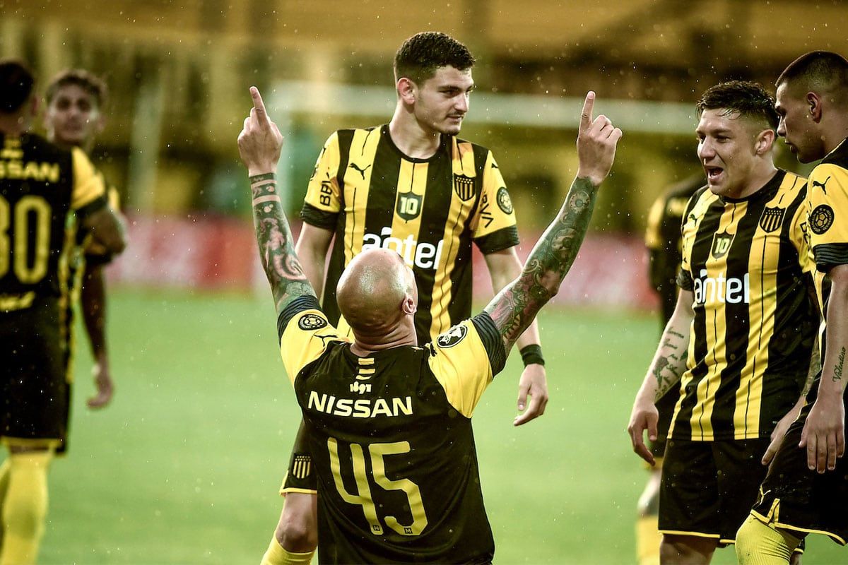 Agustín Álvarez Martínez, Peñarol, Nacional,