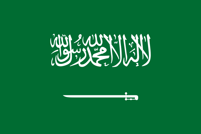 Grupo C Mundial Arabia Saudi