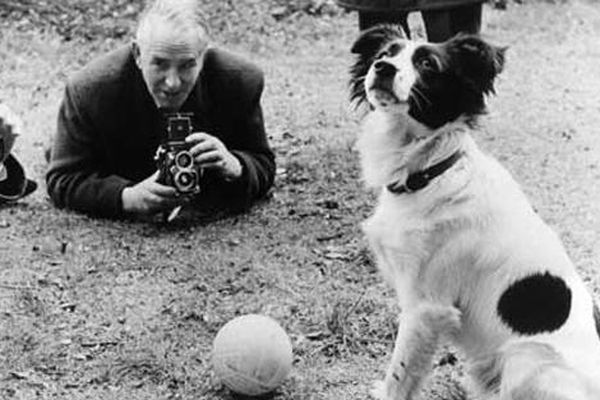Pickles, el perro que &ldquo;permiti&oacute;&rdquo; el Mundial de Inglaterra 1966
