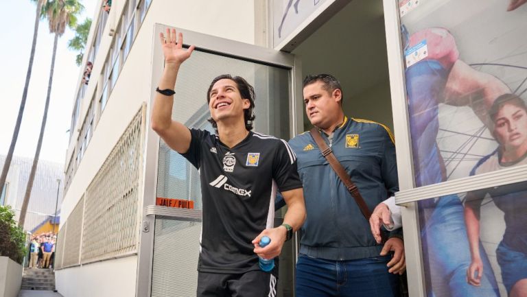 Tigres el multimillonario