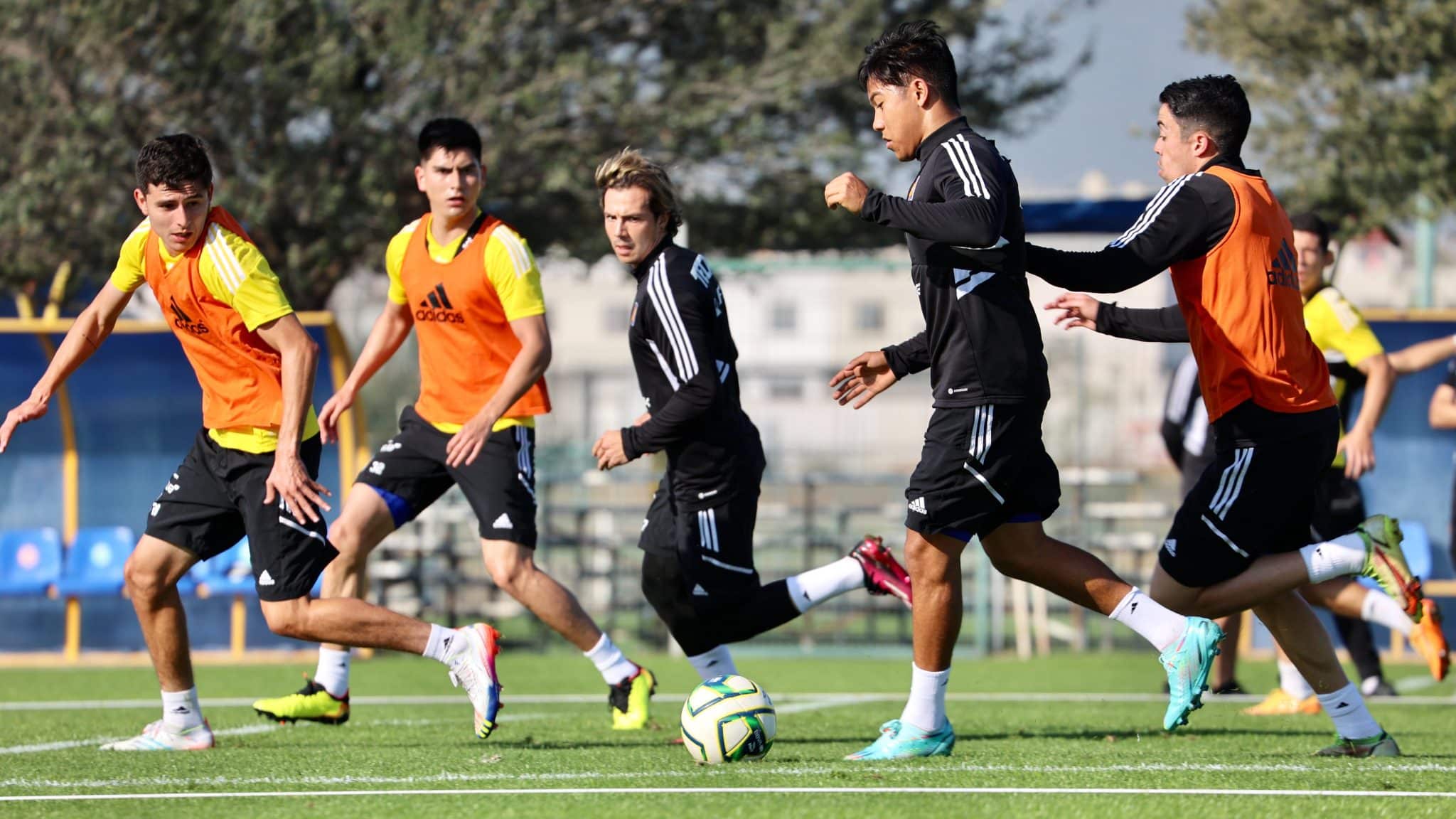 Entrenamiento de Tigres