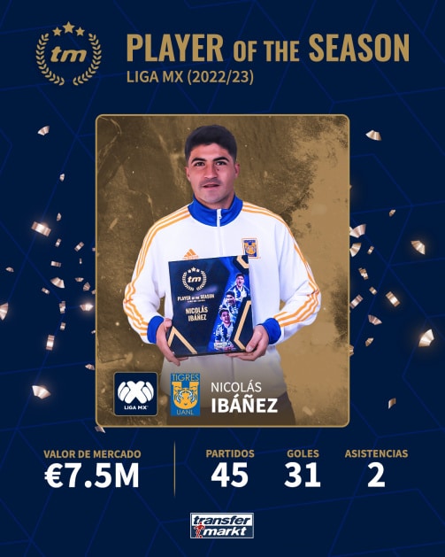 Nicol&aacute;s Ib&aacute;&ntilde;ez, Liga MX, Tuzos de Pachuca, Tigres UNAL