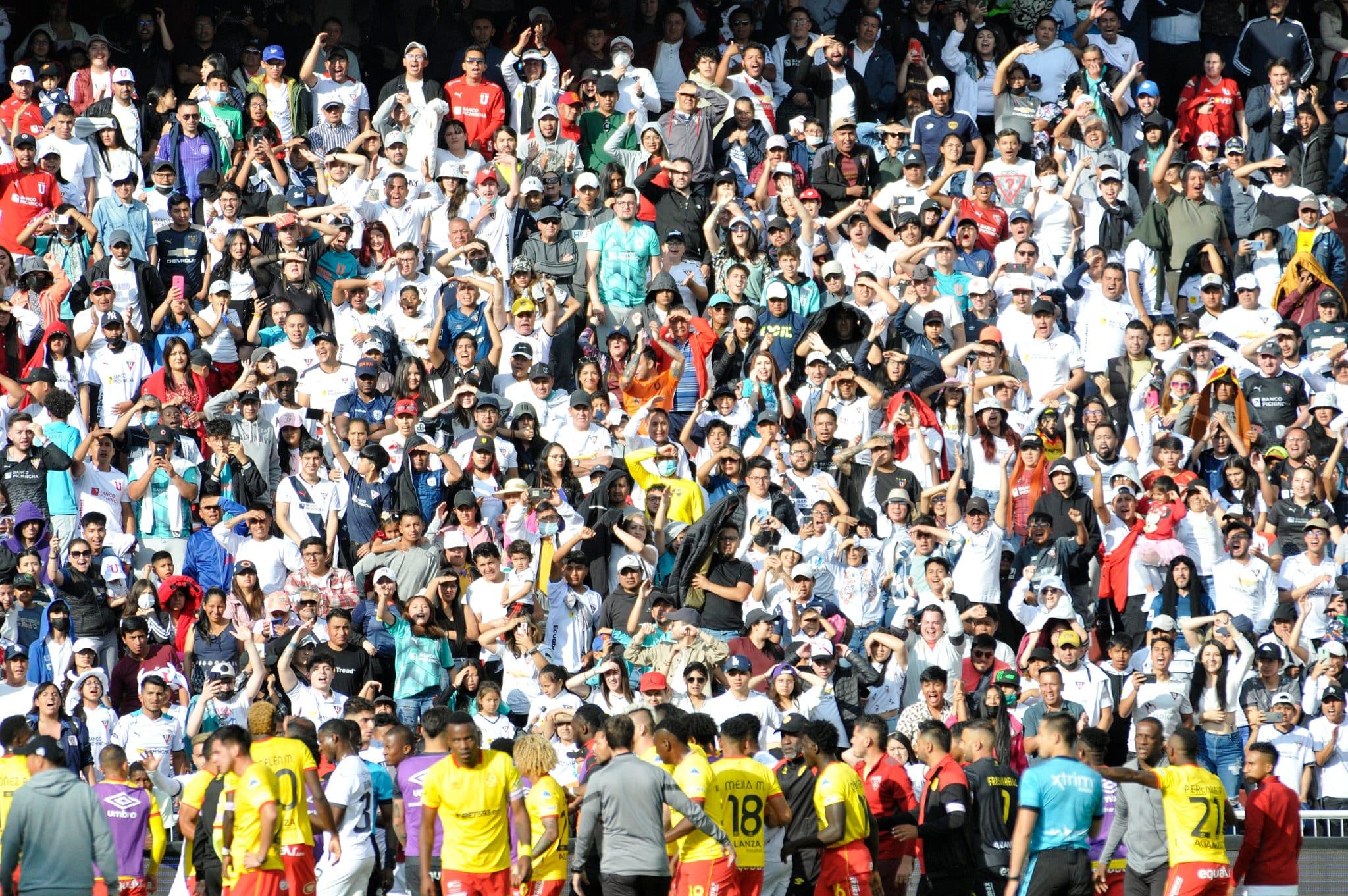 Pron&oacute;stico Liga de Quito vs Aucas, Liga Pro