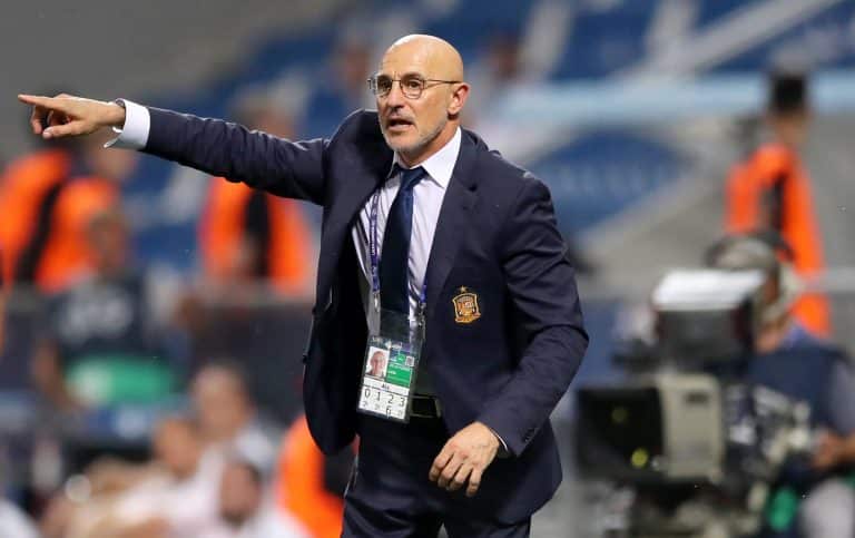 La sorprendente e inesperada convocatoria de Espa&ntilde;a con Luis de la Fuente