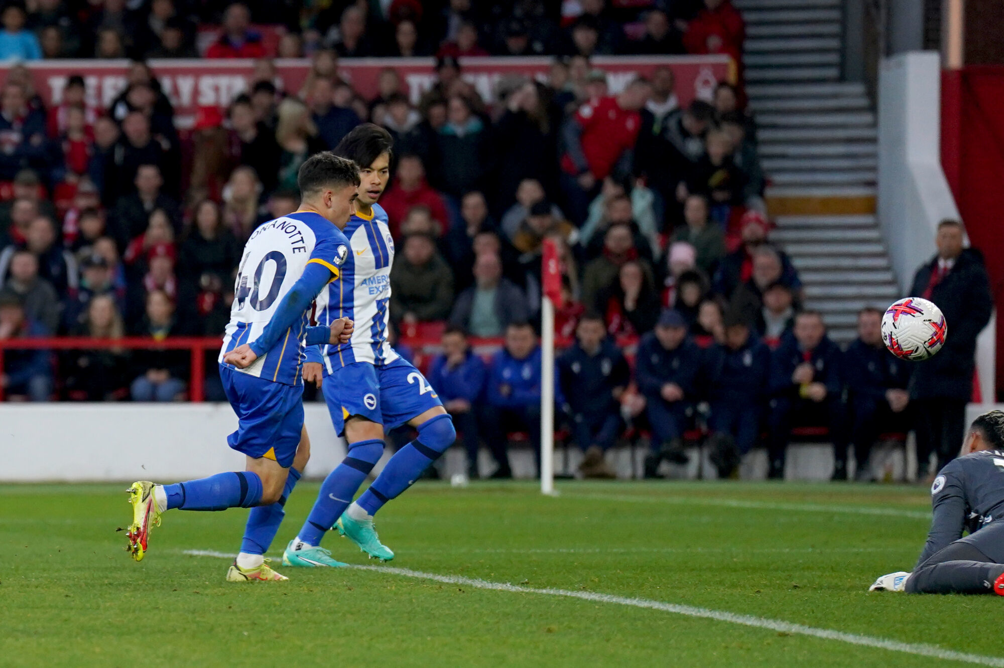 facundo buonanotte brigton