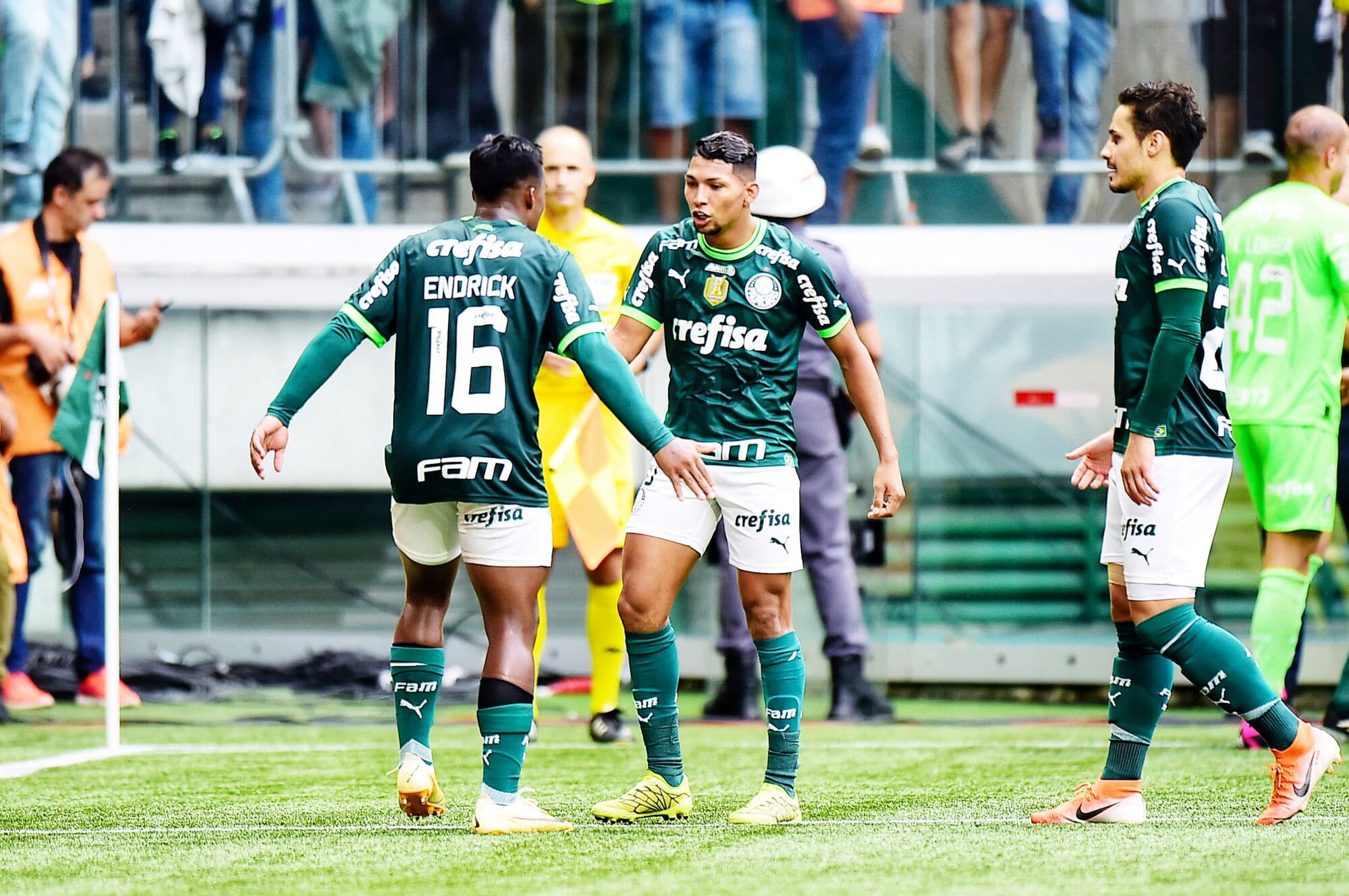 brasileirao campe&oacute;n