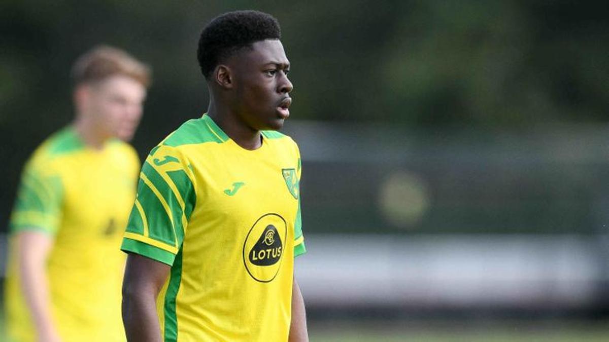 Chelsea, Fichajes Premier League, Alex Matos, Norwich City