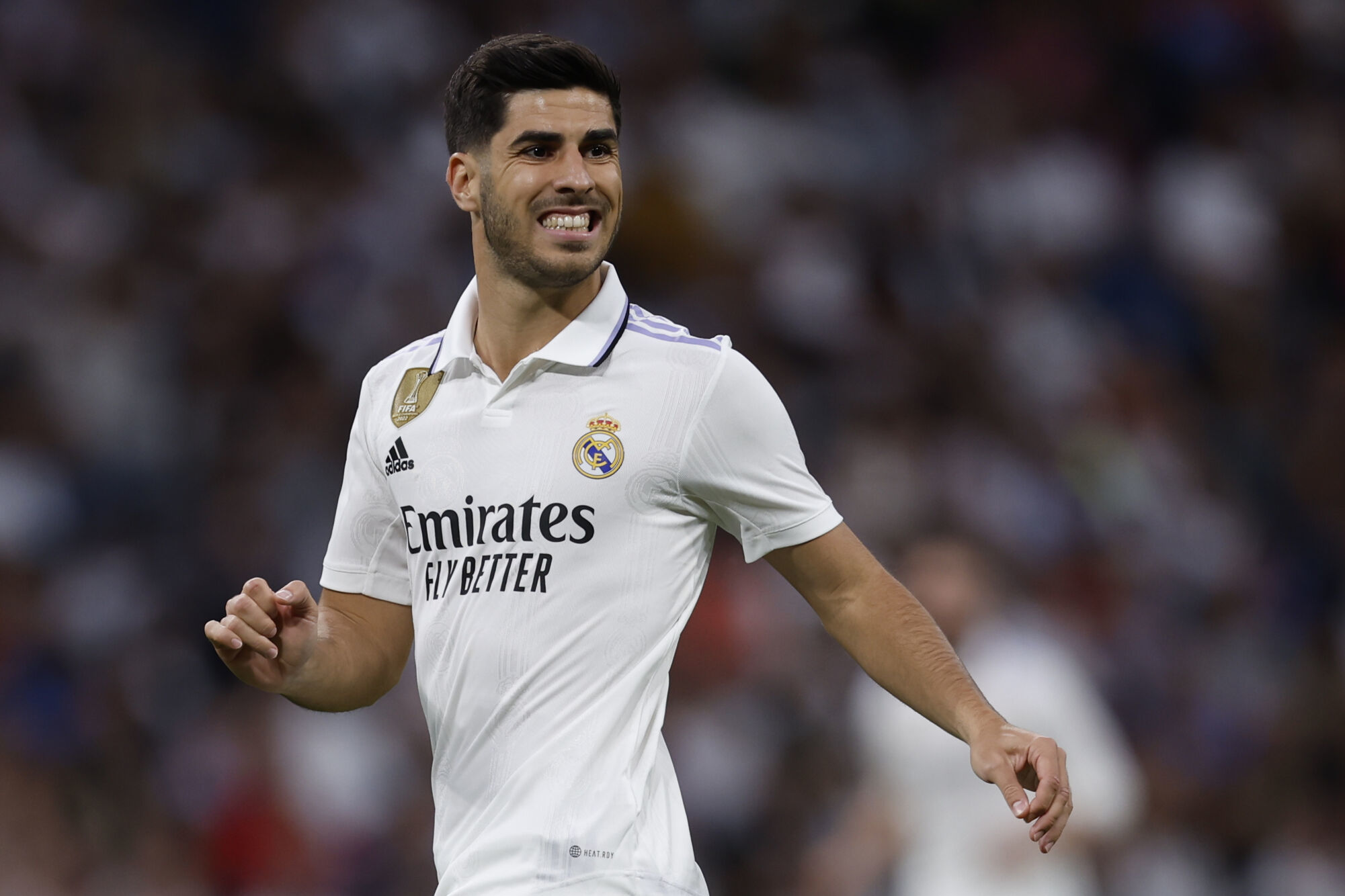 Real Madrid Renovaci&oacute;n