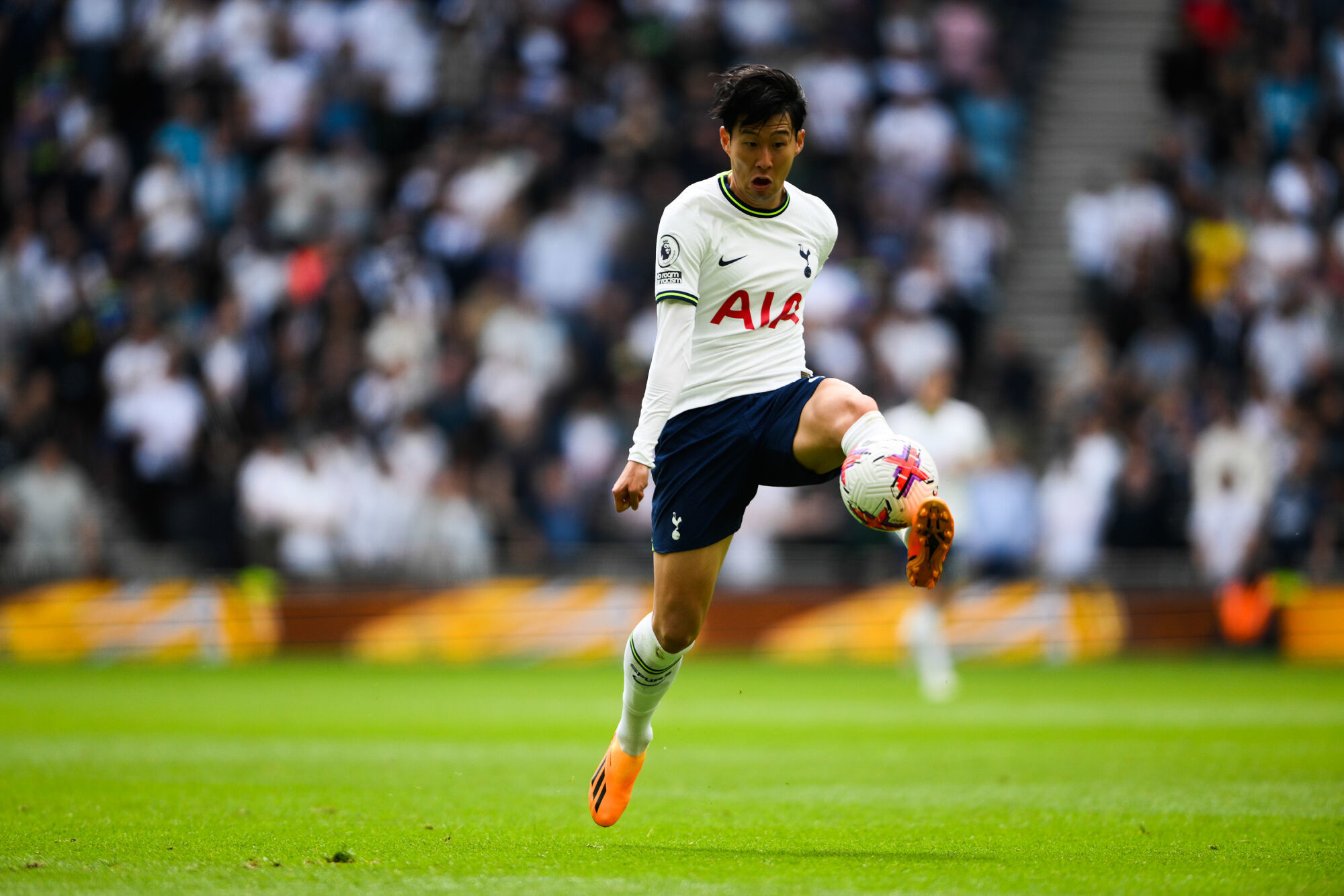 Heung Min Son, Tottenham, Fichajes Premier League