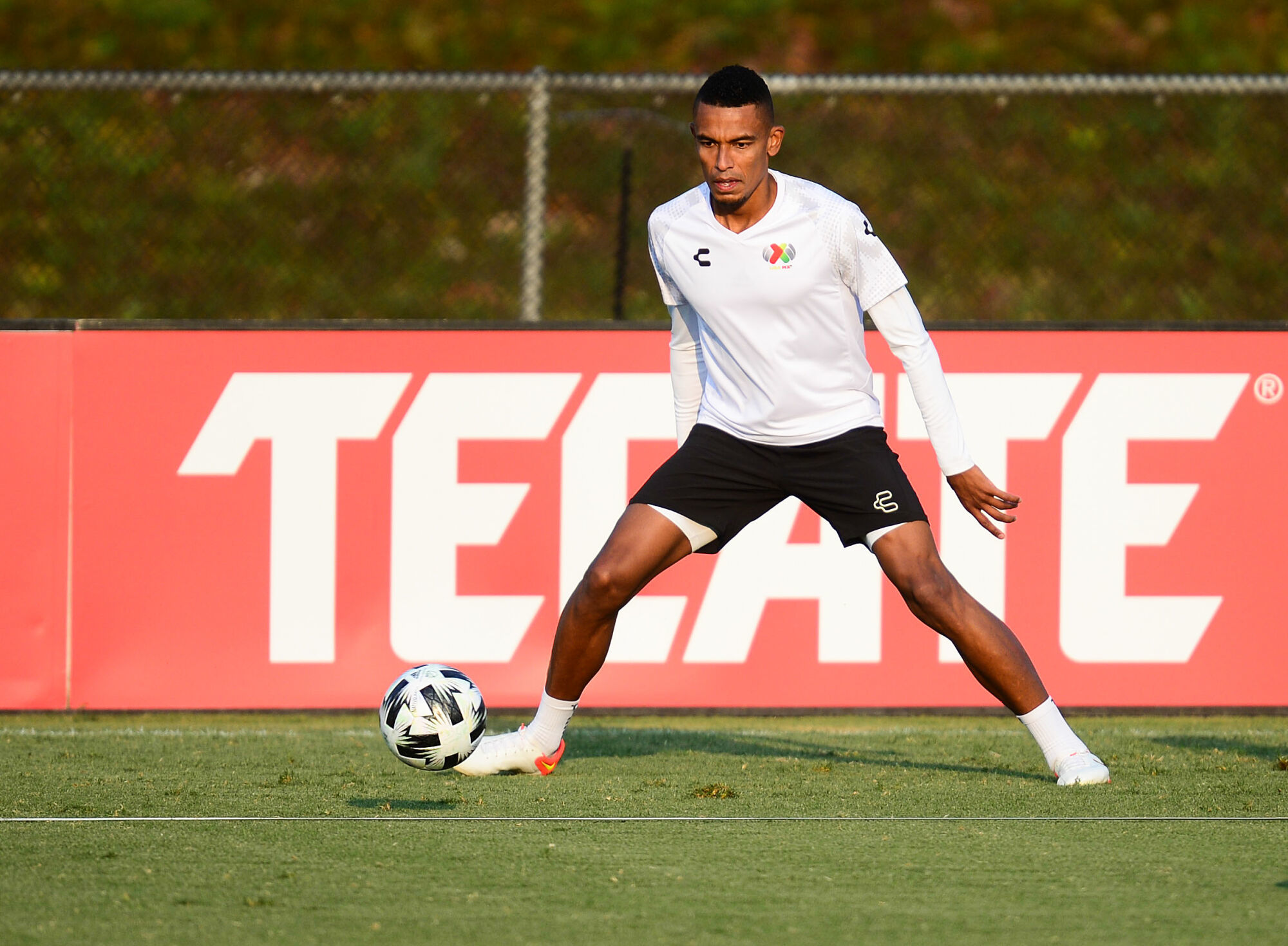 Boca Juniors refuerzos, Boca Juniors, William Tesillo, Marcos Rojo, Liga Profesional, Argentina, Colombia