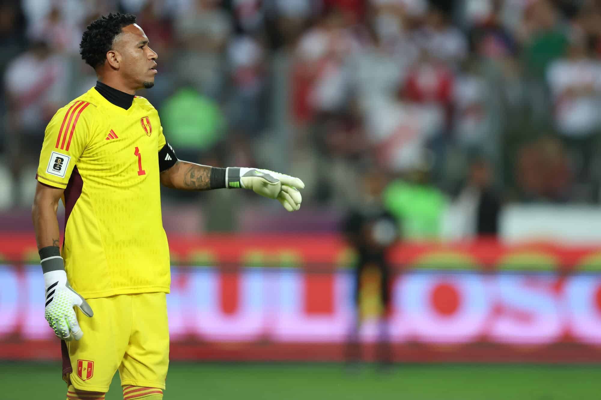 peruanos en el exterior