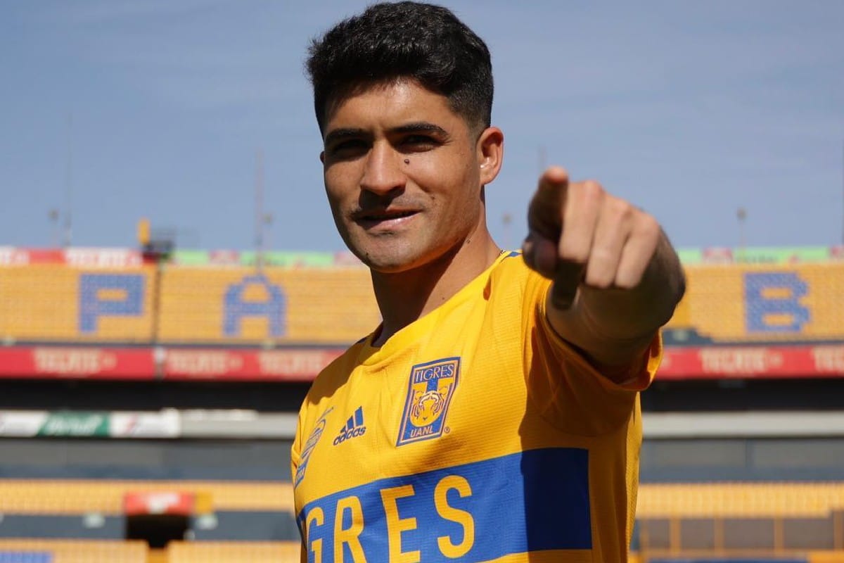 Nicol&aacute;s Ib&aacute;&ntilde;ez