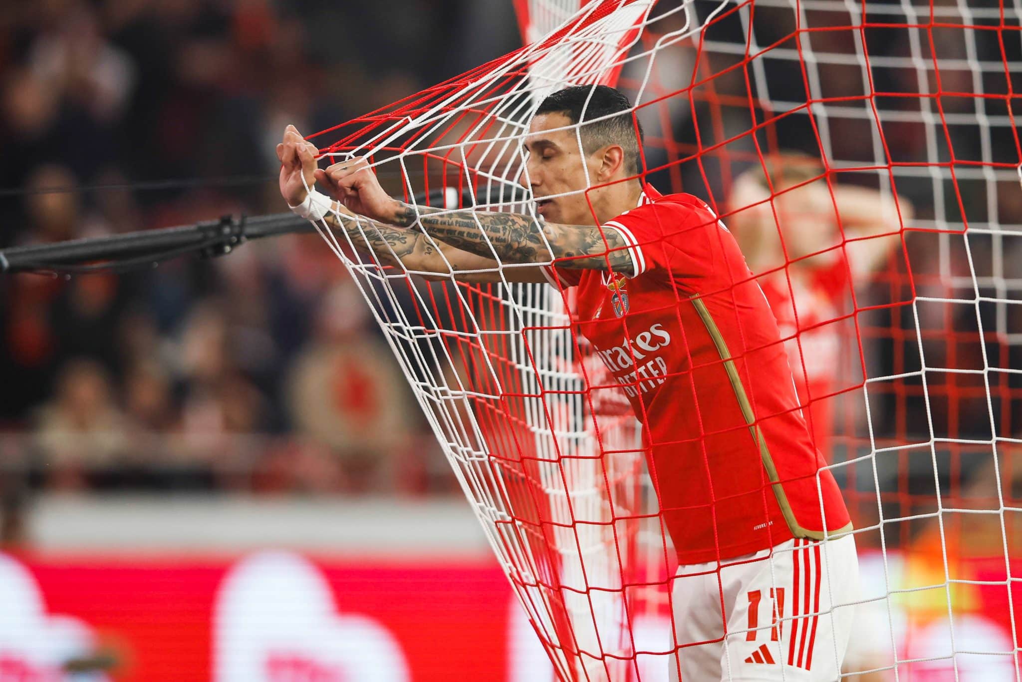 &Aacute;ngel Di Mar&iacute;a