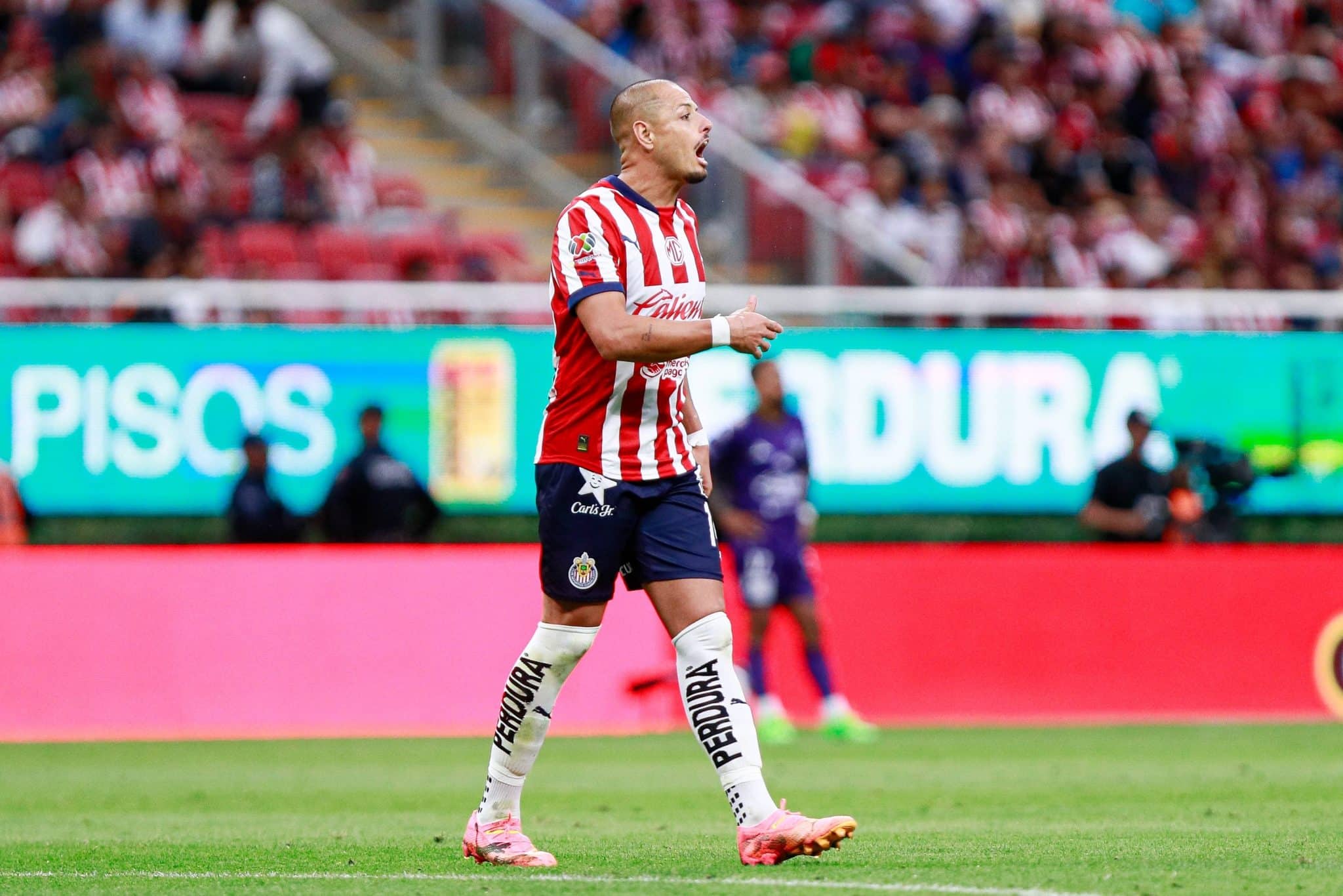 Los mejores jugadores veteranos de la actualidad