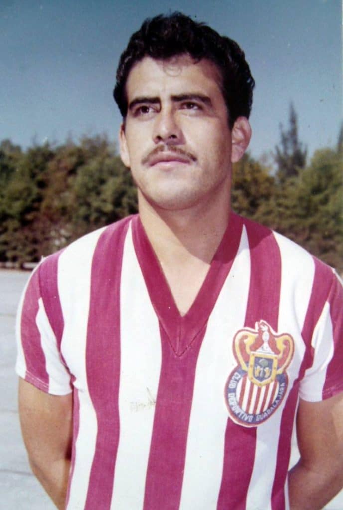 tigre